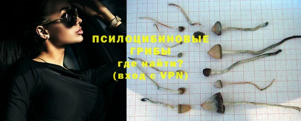 скорость Осинники