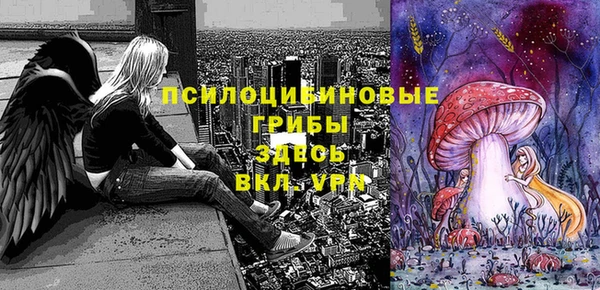 скорость Осинники