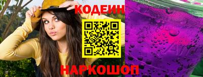 индика Камышлов