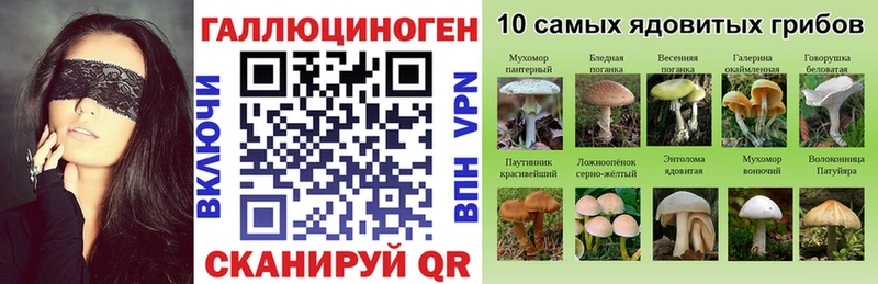 OMG зеркало  Северобайкальск  Галлюциногенные грибы Psilocybine cubensis 