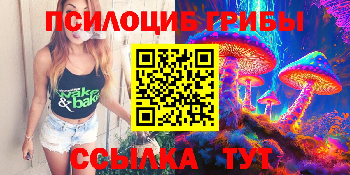 Псилоцибиновые грибы Psilocybe  Вход с VPN  Северобайкальск 