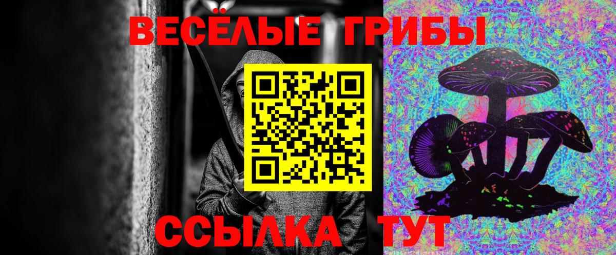 Галлюциногенные грибы Cubensis Северобайкальск